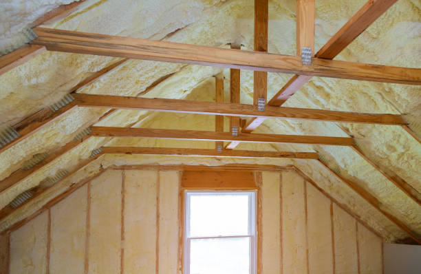 Best Eco-Friendly Insulation in Hartley, CA